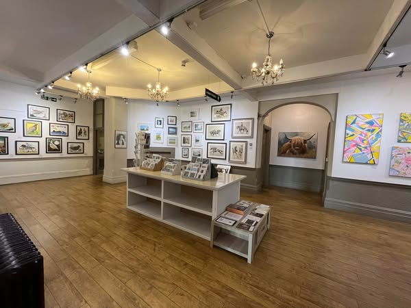 gallery exhib 4